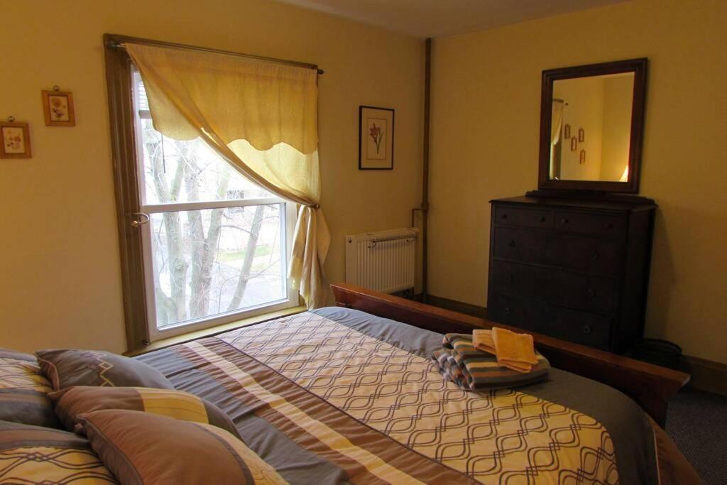 Great Gorge Guesthouse - Walk To The Falls, The Casino And All Downtown Restaurants - Across From The Aquarium Niagara Şelalesi Dış mekan fotoğraf
